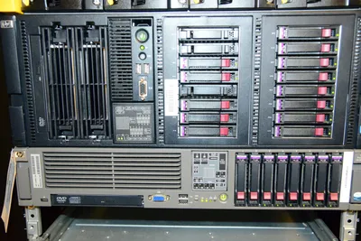 DSC_1354 (Large).JPG